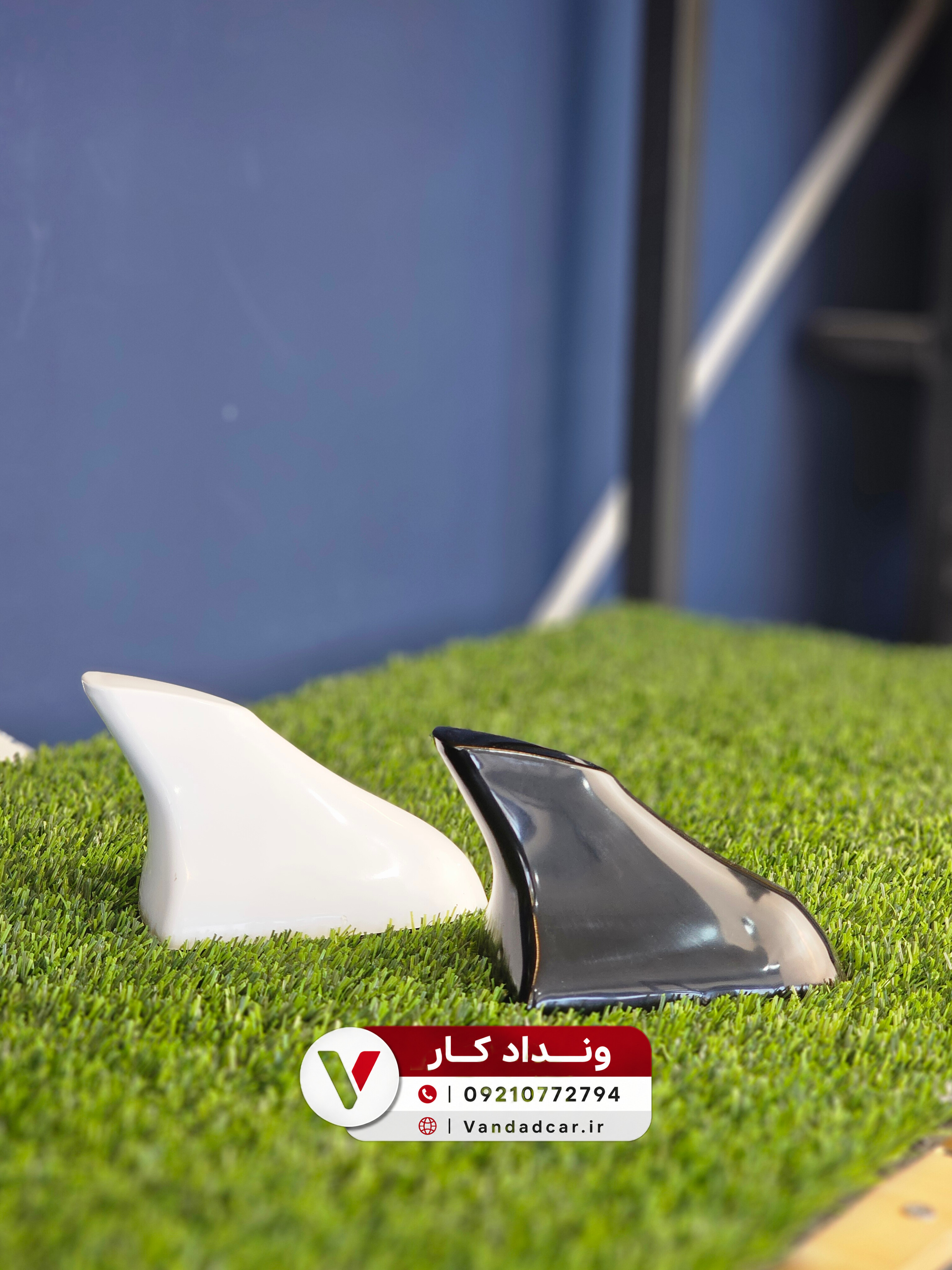 بال کوسه ای اسپرت
